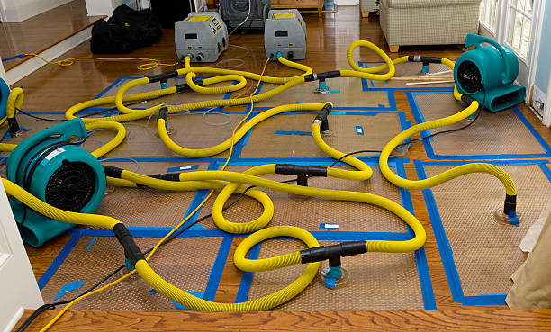 Professional Burst Pipe Water Damage technician working in Cerrillos, NM